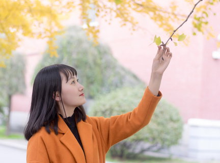 菲律宾大学排名如何